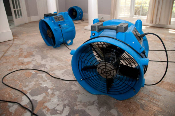 Best Residential water damage restoration  in Auburn, WA