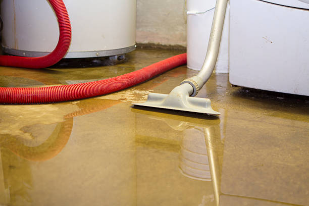 Best Basement water damage restoration  in Auburn, WA