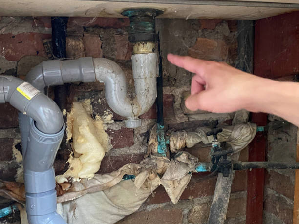 Trusted Auburn, WA Water damage restoration Experts